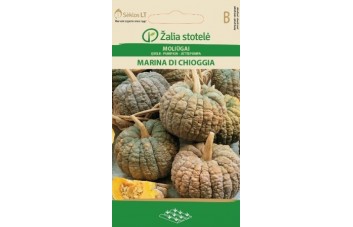 MOLIŪGAI MARINA DI CHIOGGIA