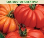 VALGOMIEJI POMIDORAI COSTOLUTO FIORENTINO