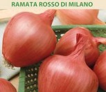 VALGOMIEJI SVOGŪNAI RAMATA ROSSO DI MILANO