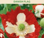 DARŽINĖS AGUONOS DANISH FLAG