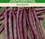VIJOKLINĖS DARŽINĖS PUPELĖS BLAUHILDE
