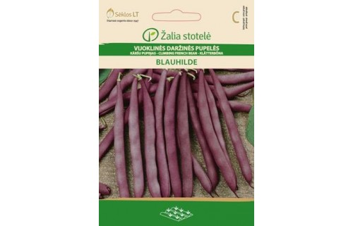 VIJOKLINĖS DARŽINĖS PUPELĖS BLAUHILDE