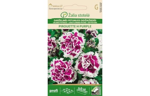 DARŽELINĖS PETUNIJOS PIROUETTE H PURPLE