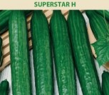 Agurkai superstar h 2025