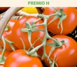 VALGOMIEJI POMIDORAI PREMIO H