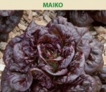 SĖJAMOSIOS SALOTOS MAÏKO