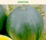 TIKRIEJI ARBŪZAI JANOSIK