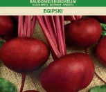 RAUDONIEJI BUROKĖLIAI EGIPSKI