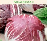 SALOTINĖS TRŪKAŽOLĖS PALLA ROSSA 3