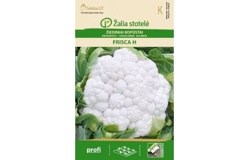 ŽIEDINIAI KOPŪSTAI FRISCA H