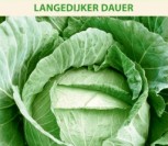 BALTIEJI GŪŽINIAI KOPŪSTAI LANGEDIJKER DAUER
