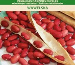 ŽEMAŪGĖS DARŽINĖS PUPELĖS WAWELSKA