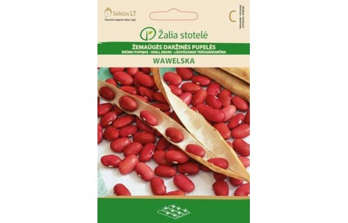 ŽEMAŪGĖS DARŽINĖS PUPELĖS WAWELSKA