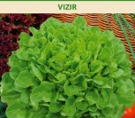 SĖJAMOSIOS SALOTOS VIZIR