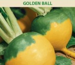ROPĖS (VALGOMIEJI GRIEŽČIAI) GOLDEN BALL