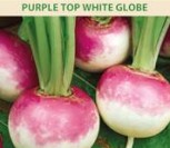 ROPĖS PURPLE TOP WHITE GLOBE