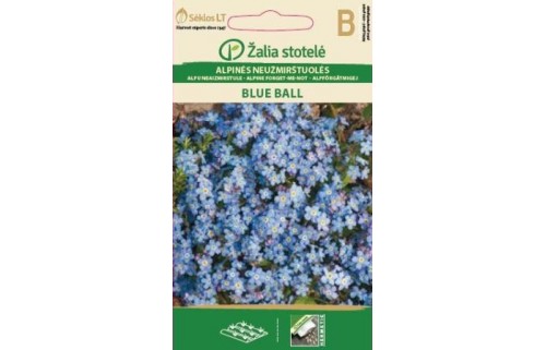ALPINĖS NEUŽMIRŠTUOLĖS BLUE BALL