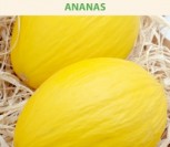 SĖJAMIEJI MELIONAI ANANAS
