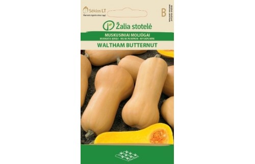MUSKUSINIAI MOLIŪGAI WALTHAM BUTTERNUT