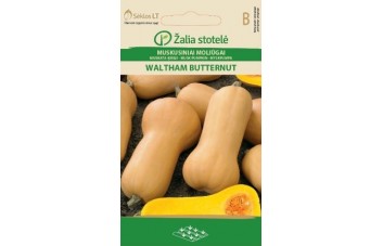 MUSKUSINIAI MOLIŪGAI WALTHAM BUTTERNUT