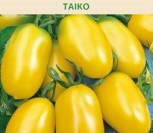 VALGOMIEJI POMIDORAI TAIKO