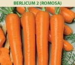 VALGOMOSIOS MORKOS BERLICUM 2 ROMOSA