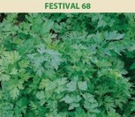 SĖJAMOSIOS PETRAŽOLĖS FESTIVAL 68