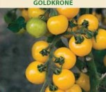 VALGOMIEJI POMIDORAI GOLDKRONE