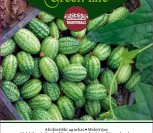 AFRIKIETIŠKI AGURKAI