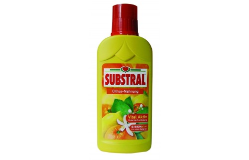 CITRINMEDŽIŲ TRĄŠOS 250 ml
