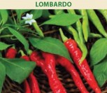 PAPRIKA VIENAMETĖ LOMBARDO