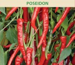PAPRIKA VIENAMETĖ POSEIDON