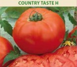 VALGOMIEJI POMIDORAI COUNTRY TASTE H