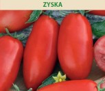 VALGOMIEJI POMIDORAI ZYSKA