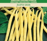 ŽEMAŪGĖS DARŽINĖS PUPELĖS ZLOTA SAXA