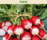 RIDIKĖLIAI  FAKIR