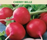 VALGOMIEJI RIDIKĖLIAI CHERRY BELLE