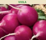 VALGOMIEJI RIDIKĖLIAI VIOLA