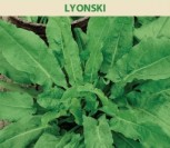VALGOMOSIOS RŪGŠTYNĖS LYONSKI