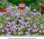 VAISTINIAI ČIOBRELIAI