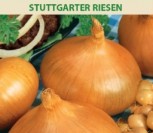 VALGOMIEJI SVOGŪNAI STUTTGARTER RIESEN