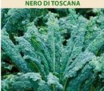 GARBANOTIEJI KOPŪSTAI NERO DI TOSCANA