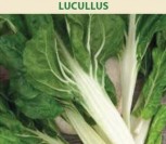 LAPINIAI BUROKĖLIAI LUCULLUS