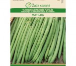 VIJOKLINĖS DARŽINĖS PUPELĖS MATILDA