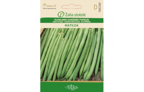 VIJOKLINĖS DARŽINĖS PUPELĖS MATILDA