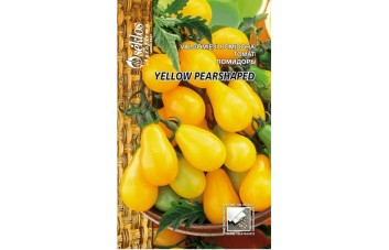 VALGOMIEJI POMIDORAI YELLOW PEARSHAPED