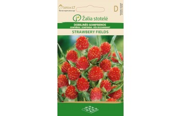GOMFRENOS DOBILINĖS STRAWBERY FIELDS