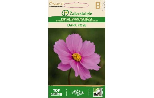 PAPRASTOSIOS KOSMĖJOS DARK ROSE