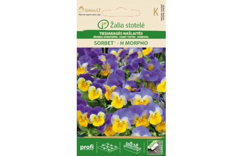 TIESIARAGĖS NAŠLAITĖS SORBET MORPHO