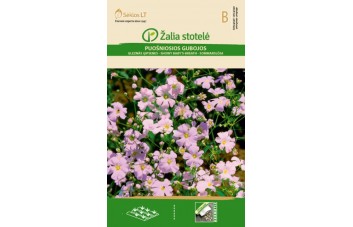 GUBOJOS PUOŠNIOSIOS ROŽINĖS